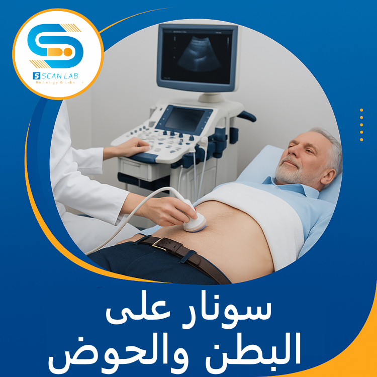 البطن والحوض