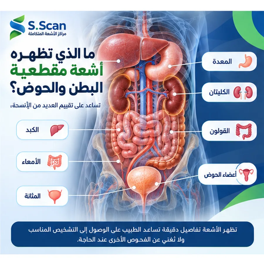 أعضاء البطن والحوض التي يمكن تقييمها باستخدام الأشعة المقطعية