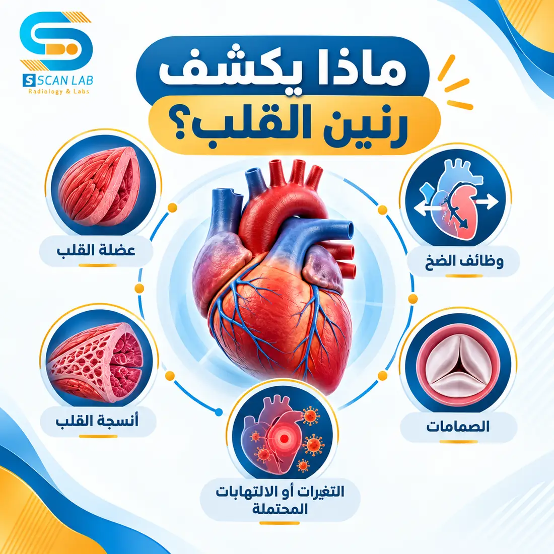 ماذا يكشف رنين القلب من تغيرات عضلة القلب ووظيفتها
